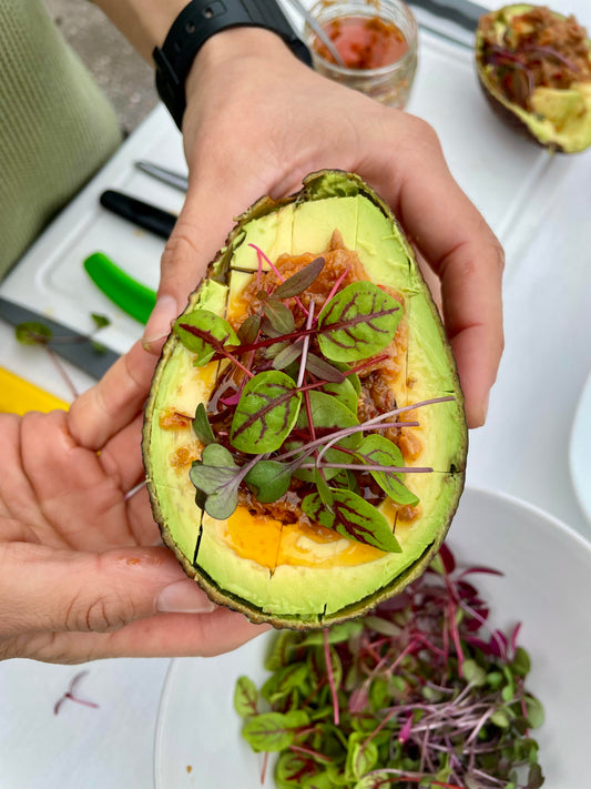 XO Loaded Avo