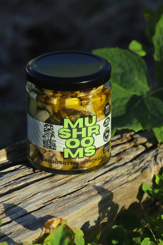 Sott'olio Funghi Pickle