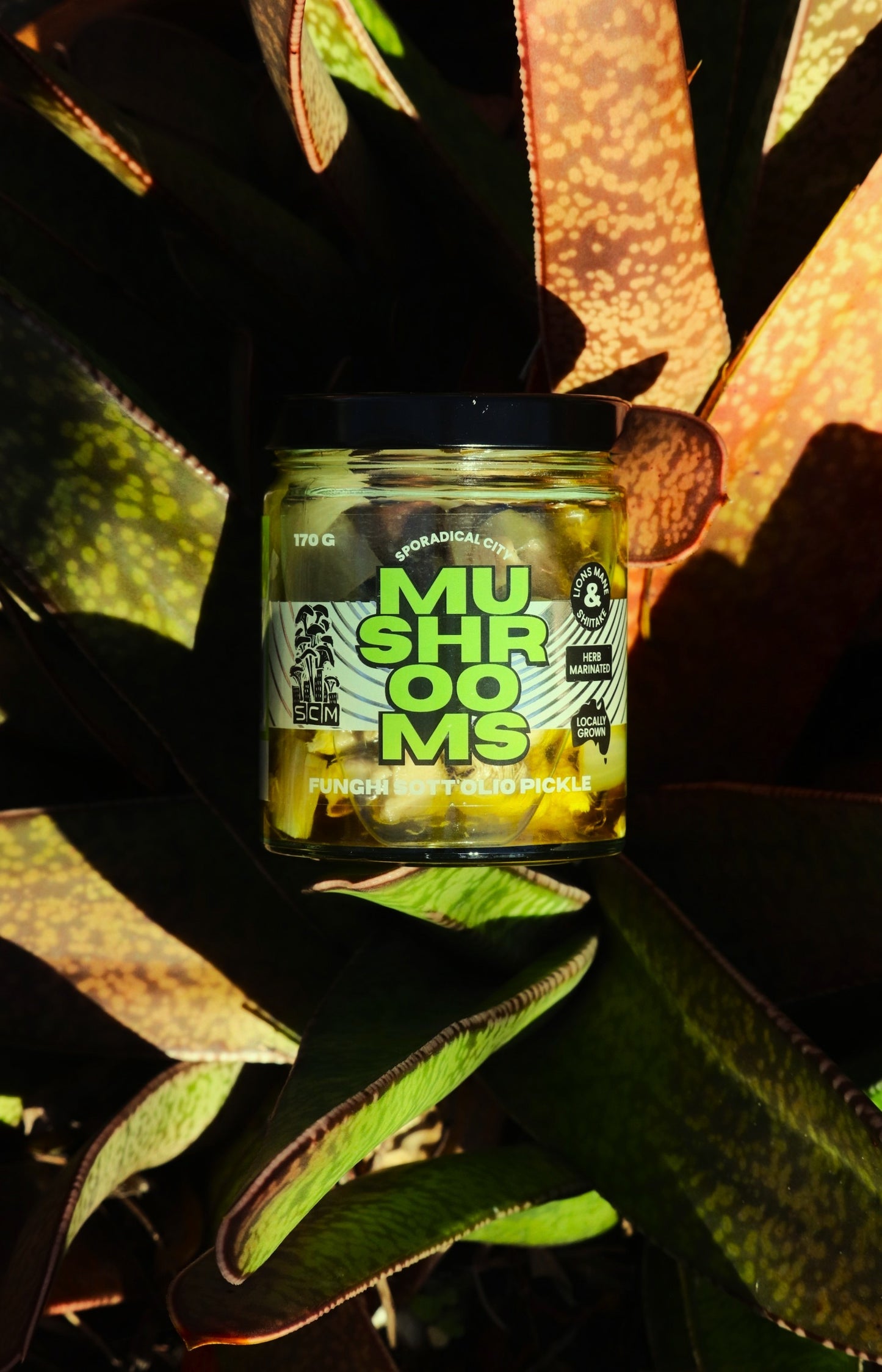 Sott'olio Funghi Pickle